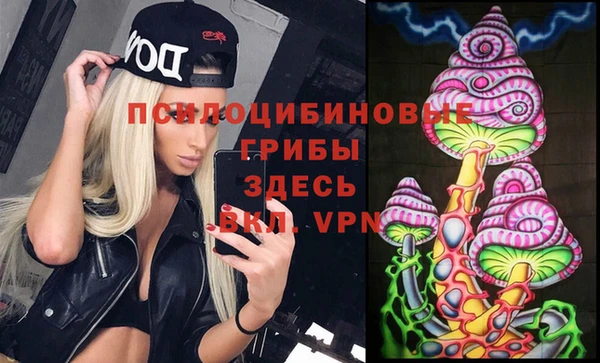 прущие крисы Зеленодольск